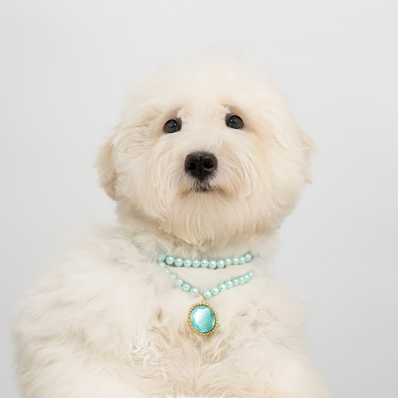 Shinning blue dog pet necklace